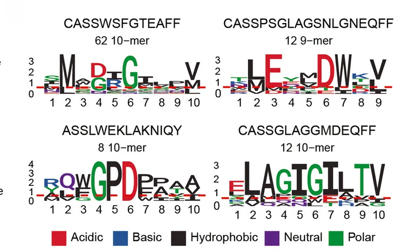 Plot showing: Illustration, Sequence logos, Peptides, TCR, Physicochemical properties
