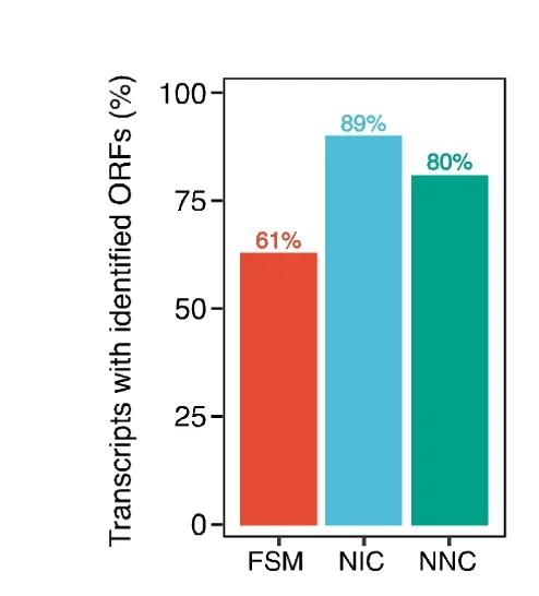 Plot showing: Bar Plot, Long-Read Isoforms, ORF, Transdecoder