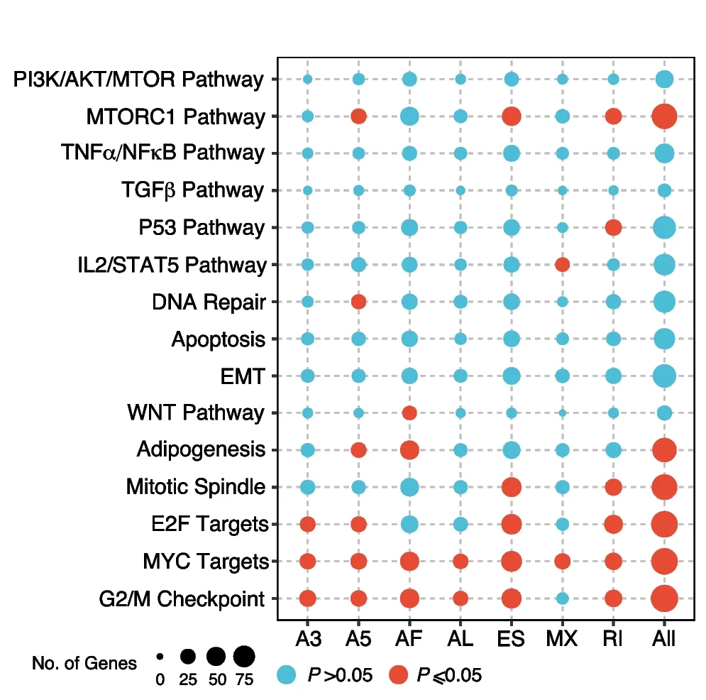 Plot showing: Bubble Plot, Enrichment Analysis, DEAS Events, Hallmark Pathways, MSigDB