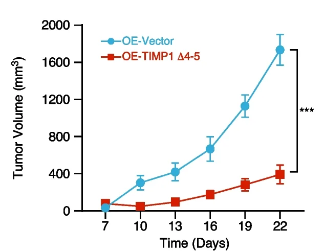 Plot showing: Line Plot, Error Bars, Tumor Growth, Xenograft Mouse Model, ANOVA