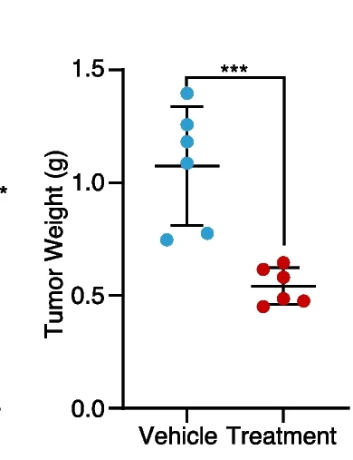 Plot showing: Scatter Plot, Error Bars, Tumor Weight, Xenograft Mouse Model