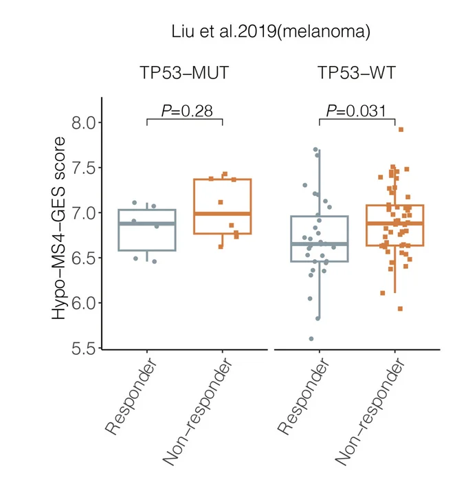 Plot showing: Box Plot, Scatter Plot, Hypo-MS4-GES, TP53-MUT, TP53-WT