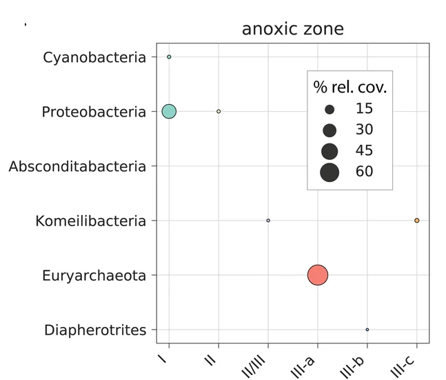 Plot showing: Scatter Plot, Bubble Plot, Carbon Fixation, CO2 Incorporation, RuBisCO