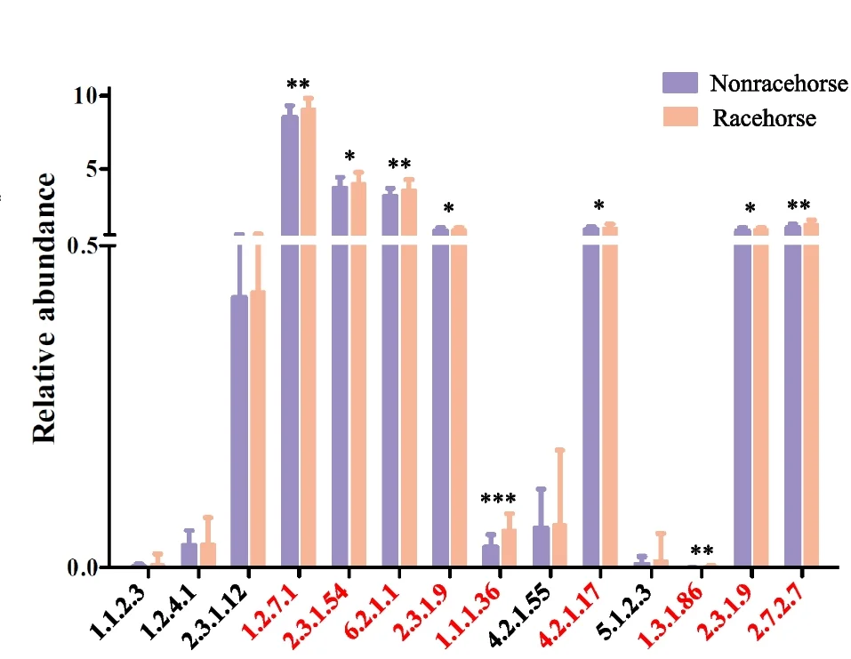 Plot showing: Clustered, Error Bars, Bar Plot, Bar Chart, Enzymes