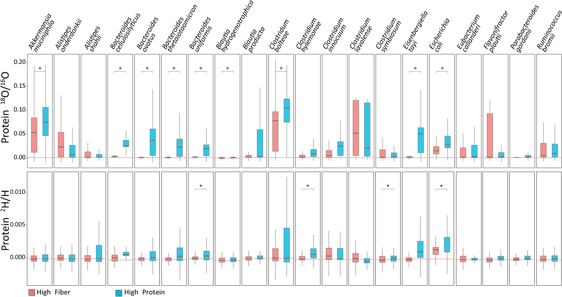 Plot showing: Box Plot, Heavy Water, Intestinal Microbiota, Diet, Stable Isotope Ratios