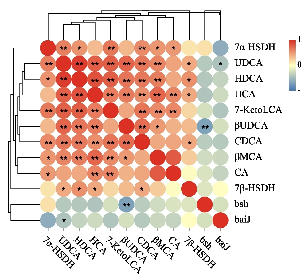 Plot showing: Heatmap, Clustered, Spearman Correlation, BA-metabolizing genes, Bile Acids