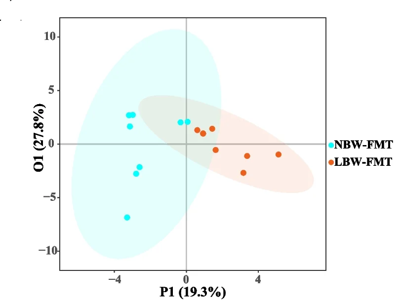 Plot showing: Scatter Plot, PCA, OPLS-DA, Colonic BA profiles, LBW