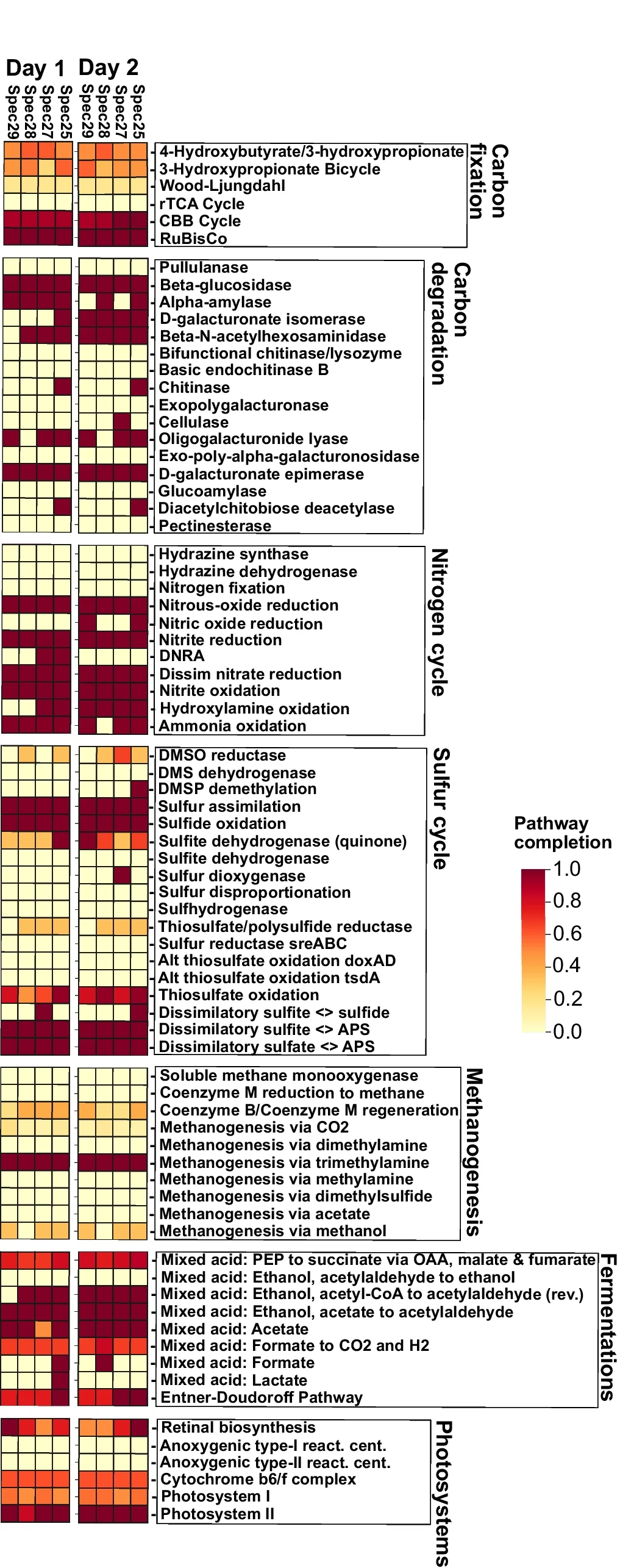Plot showing: Heatmap, Microbiome, Metatranscriptome, Microbial Activity, Carbon Fixation