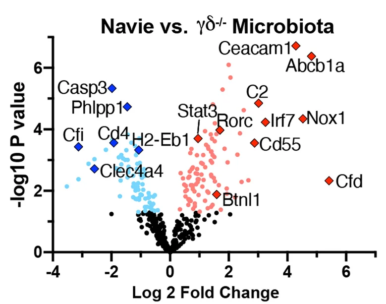 Plot showing: Volcano Plot, Scatter Plot, Volcano plots, Genes, Duodenum