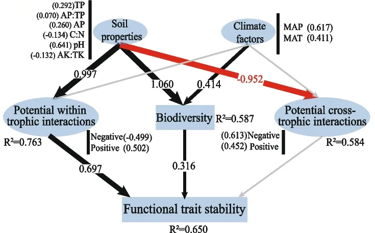 Plot showing: Workflow, Flowchart, Direct Effects, Indirect Effects, Functional Trait Stability