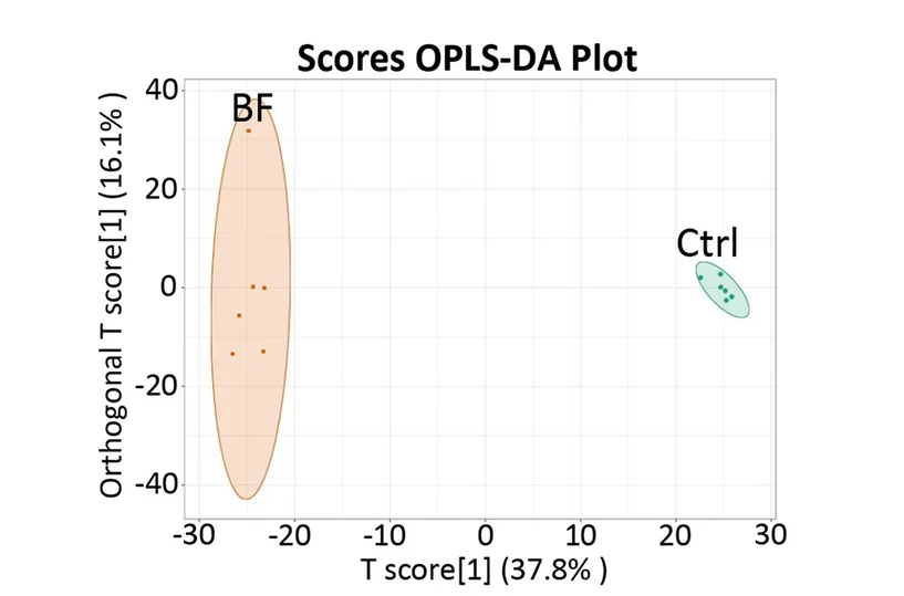 Plot showing: Scatter Plot, PCA, OPLS-DA, Fecal metabolites