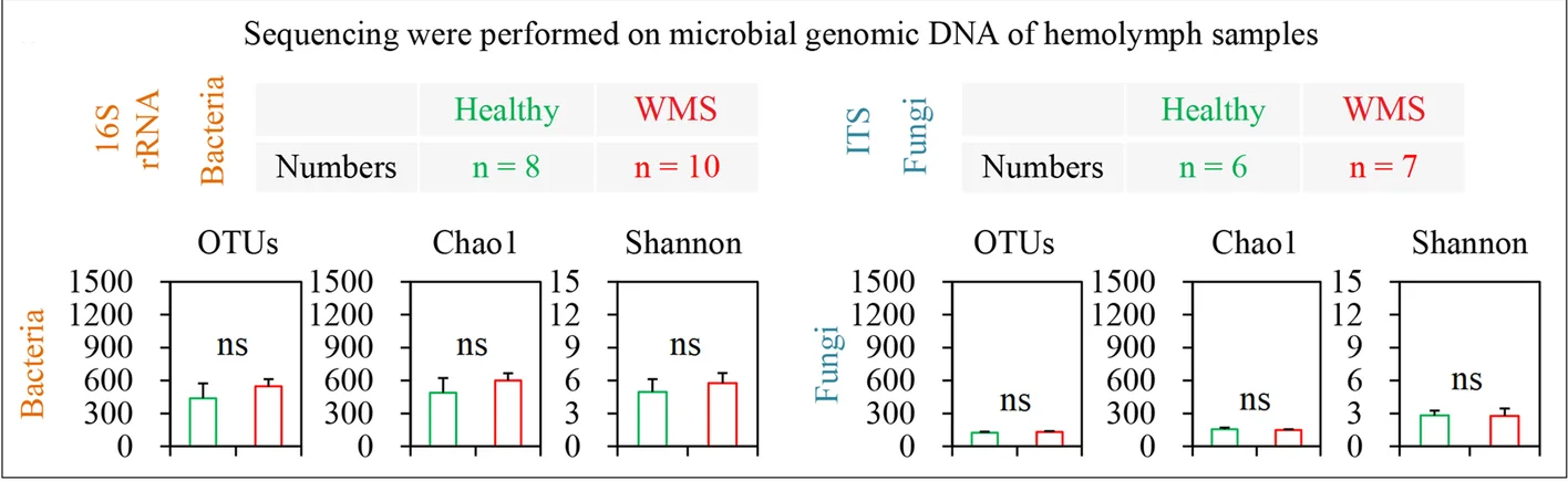 Plot showing: Bar Plot, Error Bars, Alpha-diversity, Bacterial community, Fungal community