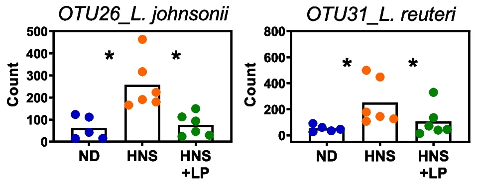 Plot showing: Bar Plot, Scatter Plot, Lactobacillus, L. johnsonii, L. reuteri