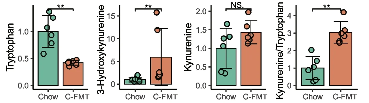 Plot showing: Bar Plot, Error Bars, Scatter Plot, Fecal Microbiota Transplantation, HFD Mice