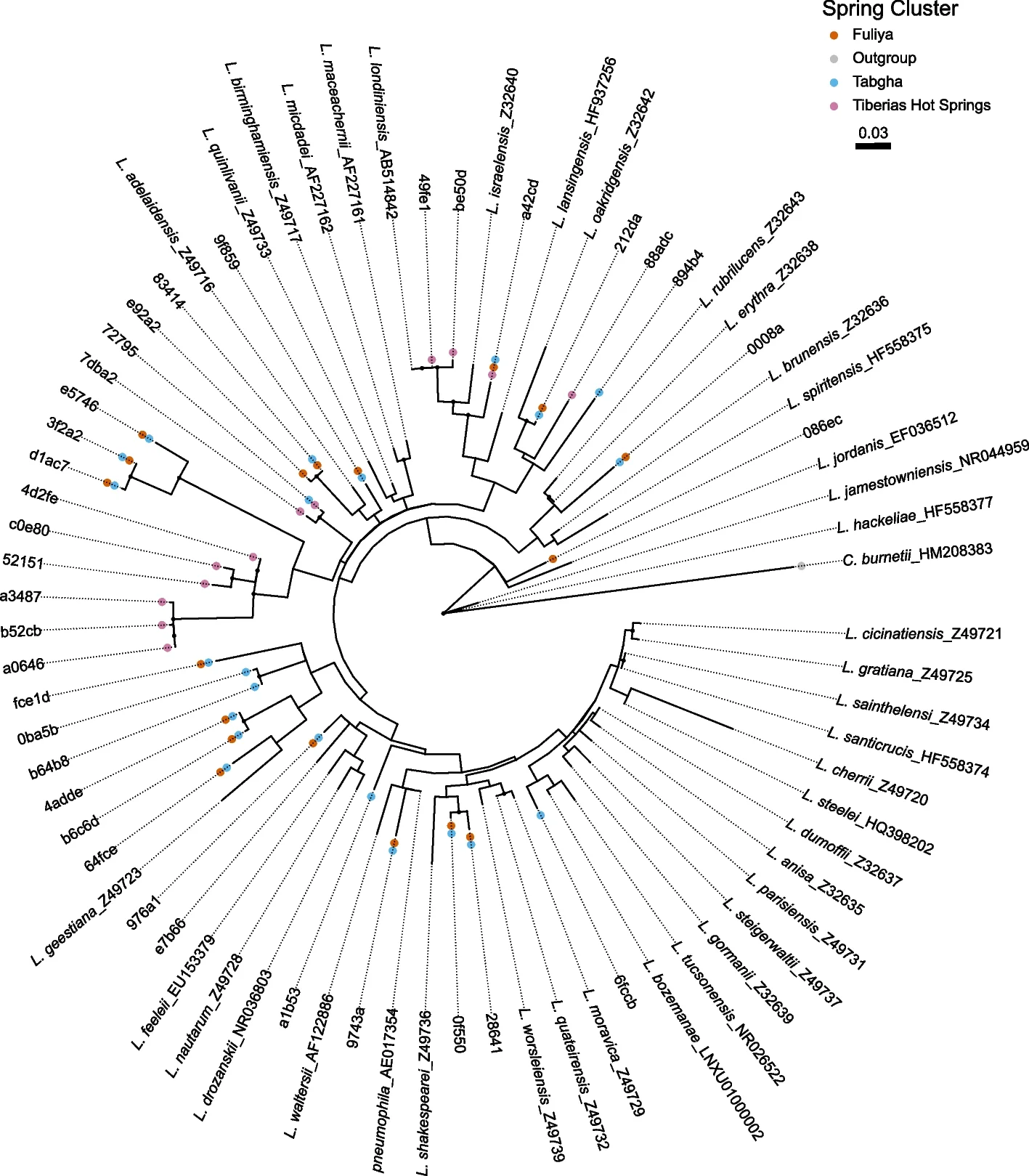 Plot showing: Network, Phylogenetic Tree, Legionella ASVs, Maximum-Likelihood method, Biofilm samples