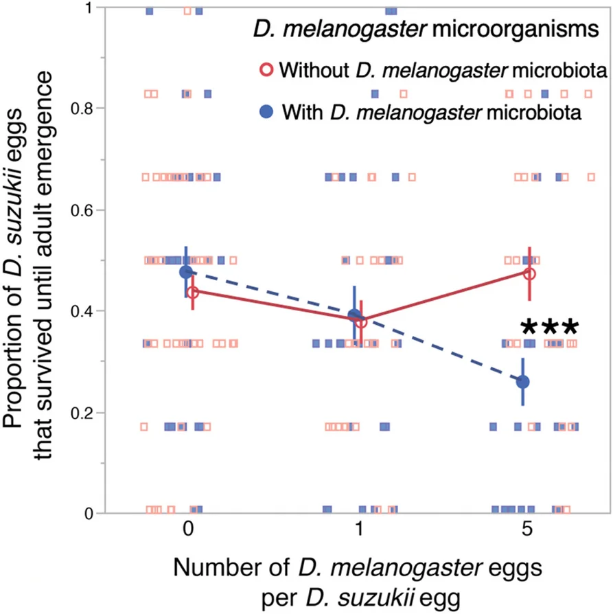 Plot showing: Line Plot, Error Bars, Scatter Plot, D. melanogaster, D. suzukii