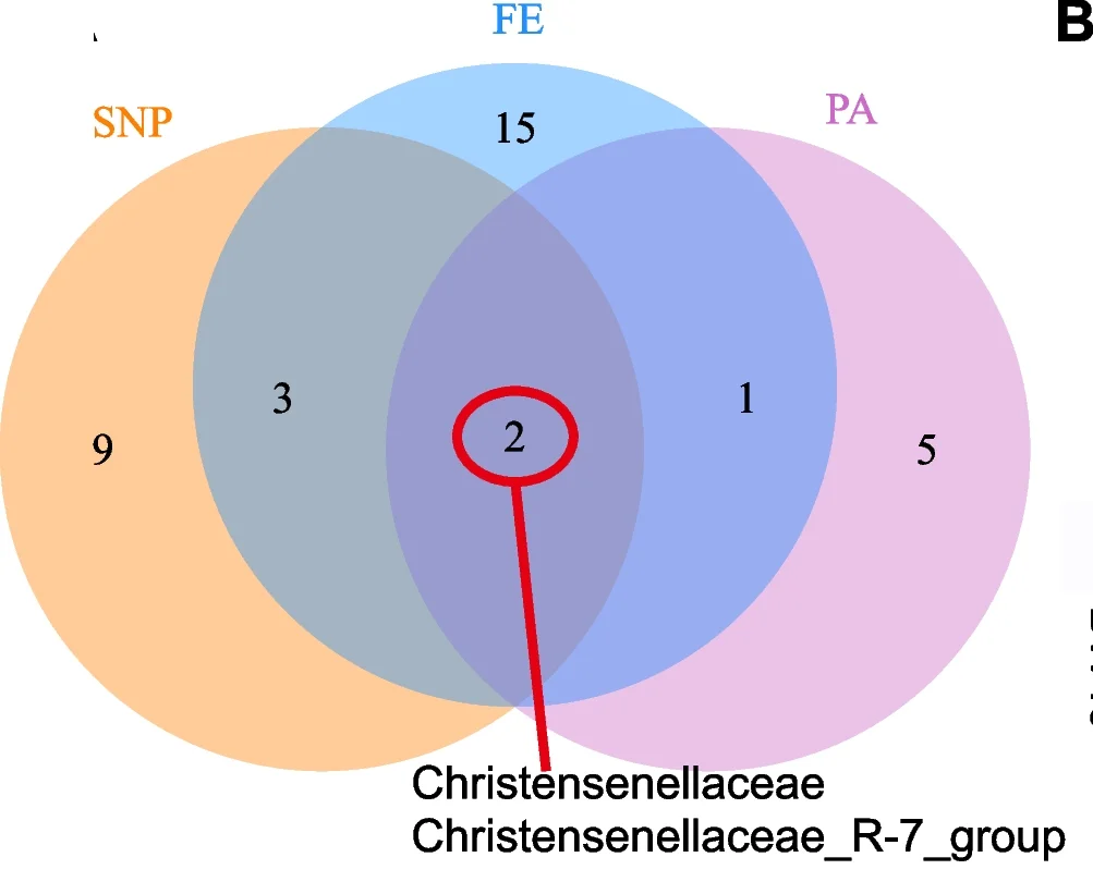 Plot showing: Venn Diagram, SNP, Feed Efficiency, Propionate, Biomarkers