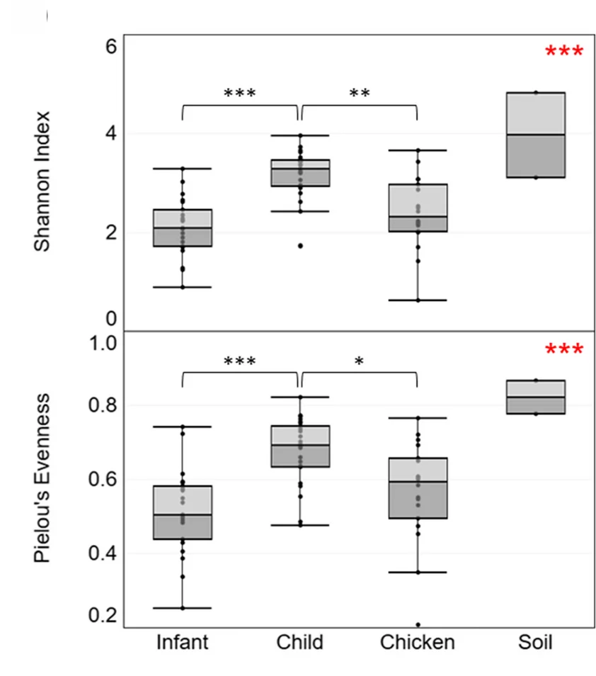 Plot showing: Box Plot, Alpha Diversity, Shannon Index, Pielou's Evenness, Kruskal-Wallis Test