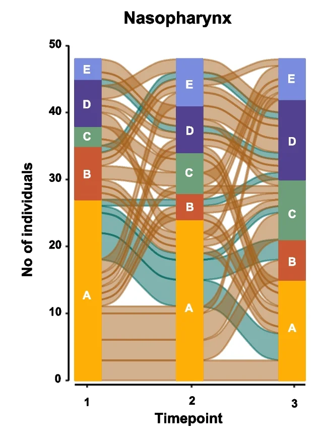 Plot showing: Stacked Bar Plot, Sankey, Nasopharyngeal Microbiota, Pneumococcus, Alluvial Plot