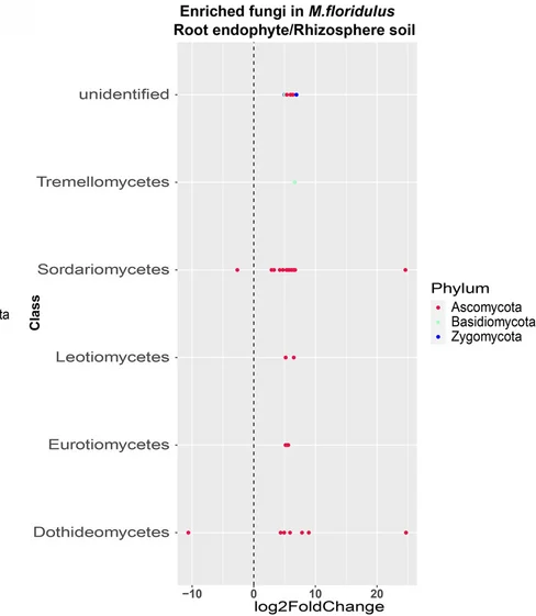 Plot showing: Scatter Plot, OTUs, Root Endophyte, Rhizosphere Soil, M. floridulus