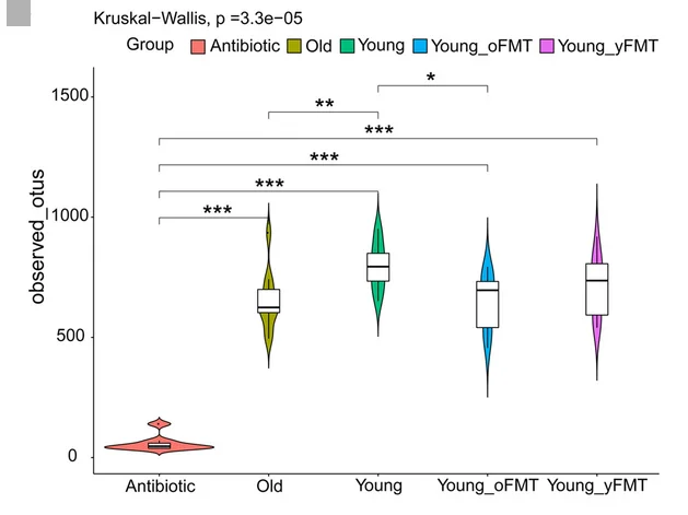 Plot showing: Violin Plot, Box Plot, Alpha Diversity, Gut Microbiota, Observed OTUs