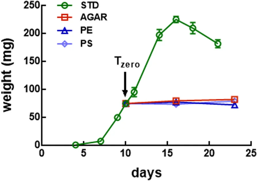 Plot showing: Line Plot, Error Bars, BSF Larvae, Standard Diet, Polyethylene