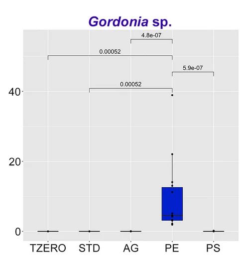 Plot showing: Box Plot, Boxplots, Species abundance, Phyla, Shotgun metagenomics
