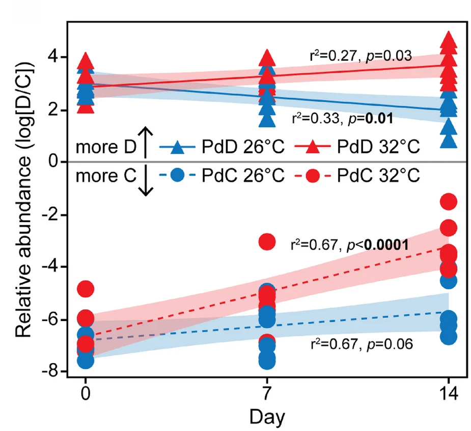 Plot showing: Scatter Plot, Regression Plot, Symbiont abundance, Durusdinium, Cladocopium