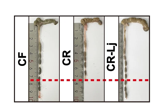 Plot showing: Photo, Colon, Macroscopic Images