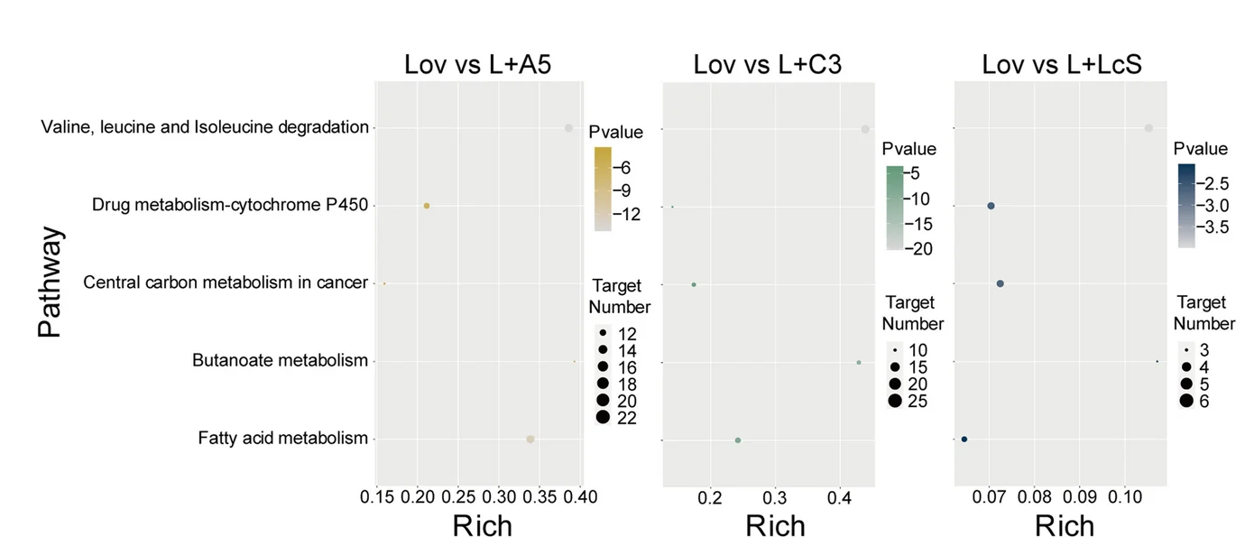Plot showing: Scatter Plot, Bubble Plot, Metabolic Pathways, Probiotics Groups, Valine