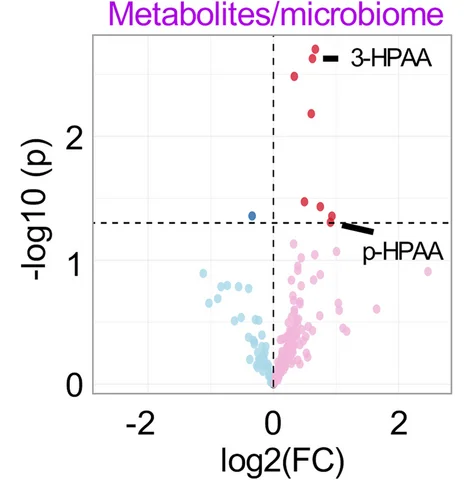 Plot showing: Volcano Plot, Metabolites, Volcano plots, Microbiome, y FMT o
