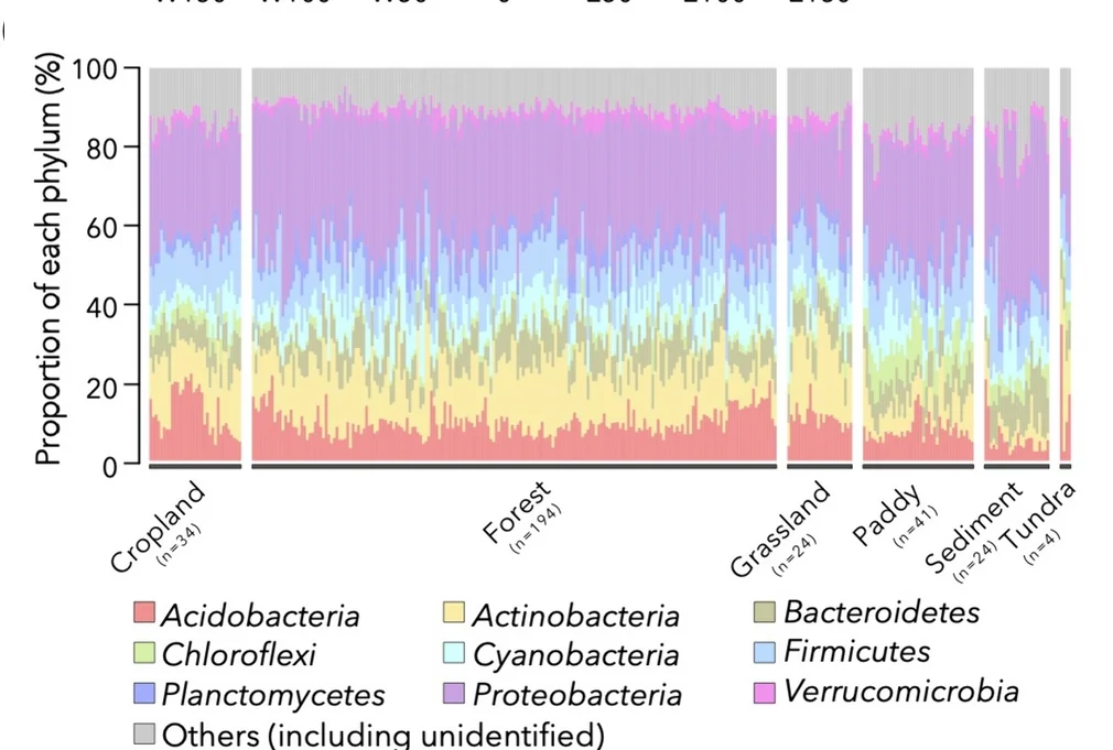 Plot showing: Stacked Bar Plot, Prokaryotic Community, Metagenomic Datasets, 16S rRNA gene sequences